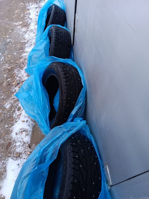 Зимняя резина Tigar