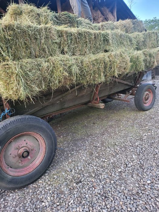 Vand  18 baloti lucerna