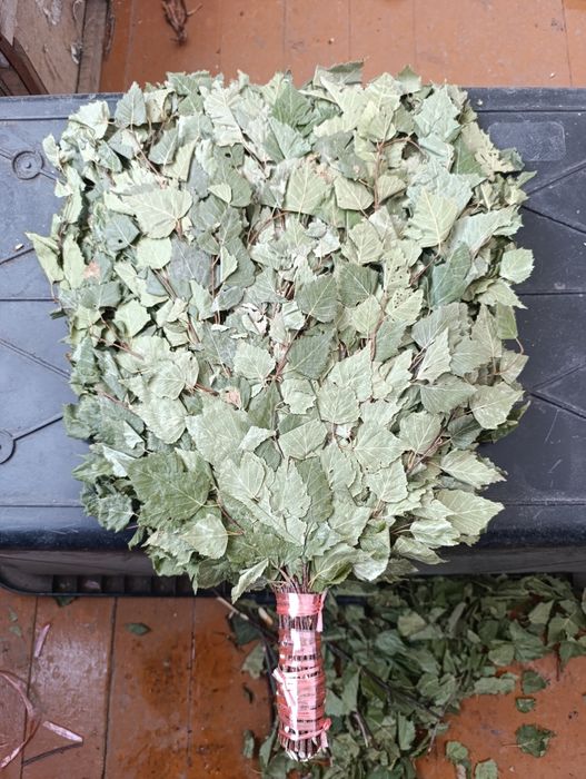 Продам веники банные