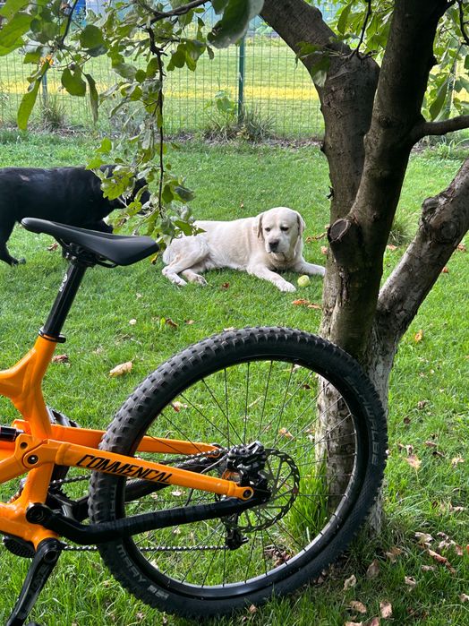 Vand Bicicleta Commencal FRS 2019