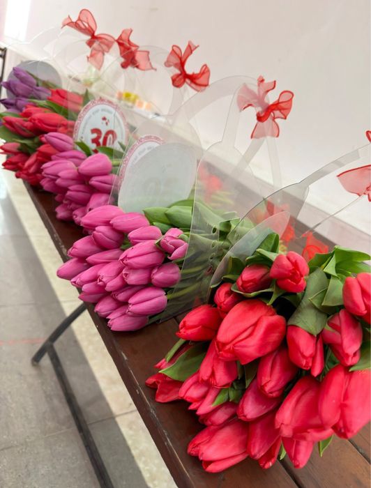 Продам тюльпаны