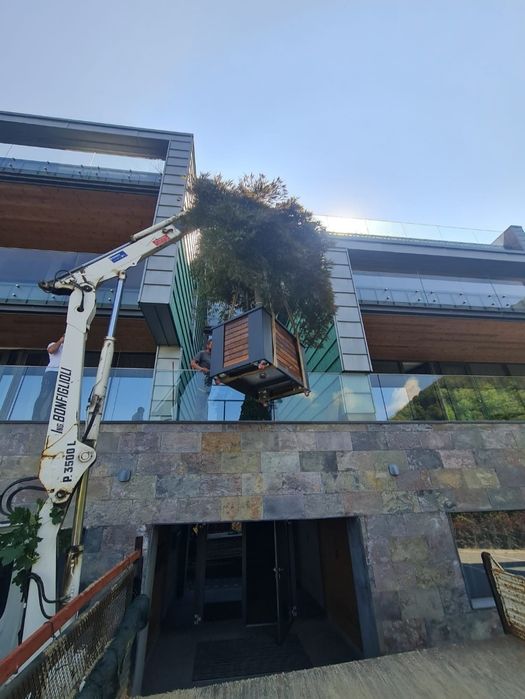 Servicii macara 1.5 tone