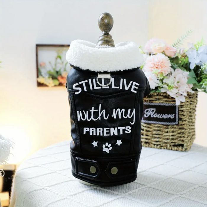 Дрехи, аксесоари и играчки за кучета