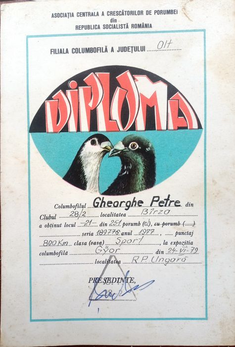 Porumbei voiajori, Culori diferite.