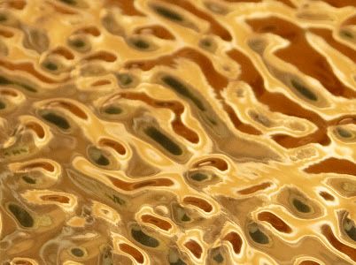 ПВХ панели, стеновые панели бамбук