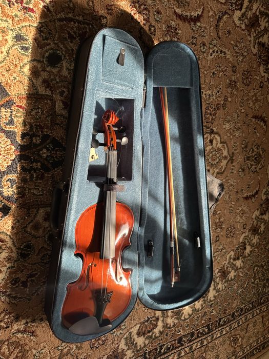 Скрипка в сумке