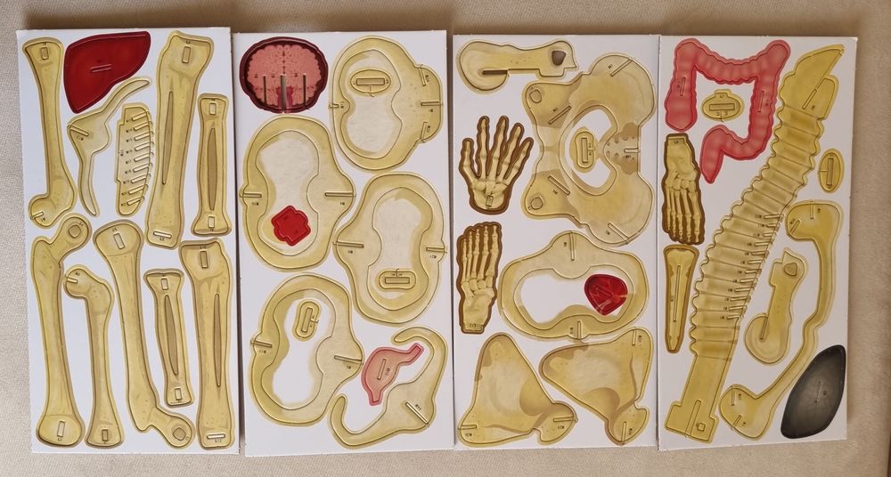 Две книги конструктори - "Човешкото тяло"  (нова) и "Ракета"