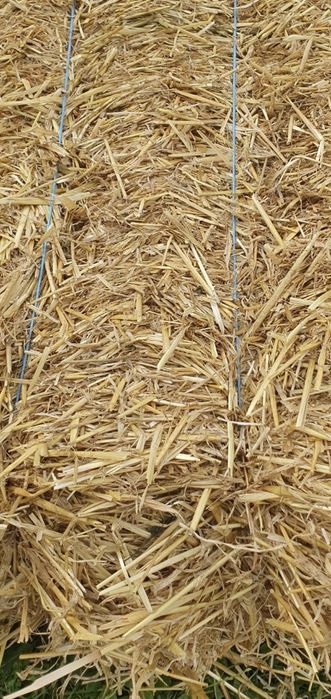 Baloti de paie , paie de vanzare