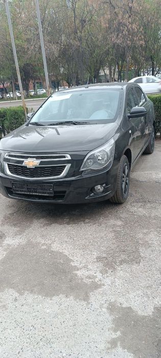 ‼️Masla Midnicht Qora mcm msm ‼️Coblt