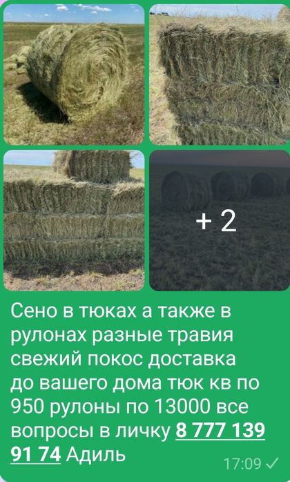 Продам сено тюках