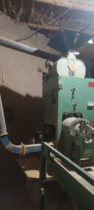 Шоли Тегирмони