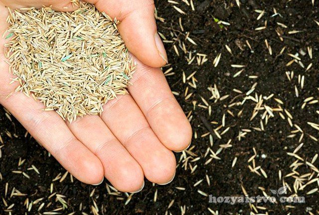 Газоны и ландшафтный дизайн оплата наличными и перечисления