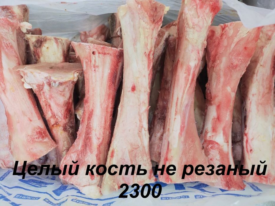 Жілік сүйек/Сахарная мозговая кость