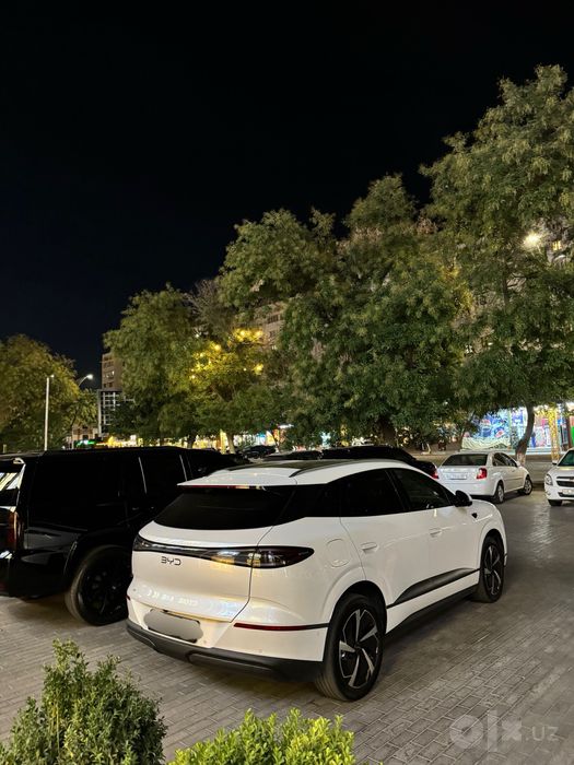 Byd sealion 06 full 605