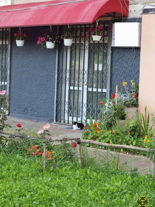 Vând Spațiu Comercial-Mărăței, 20,25mp