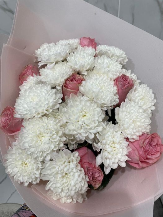 продам цветы срочно торг есть