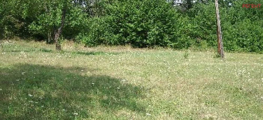 Парцел-Петкова нива-3200м²