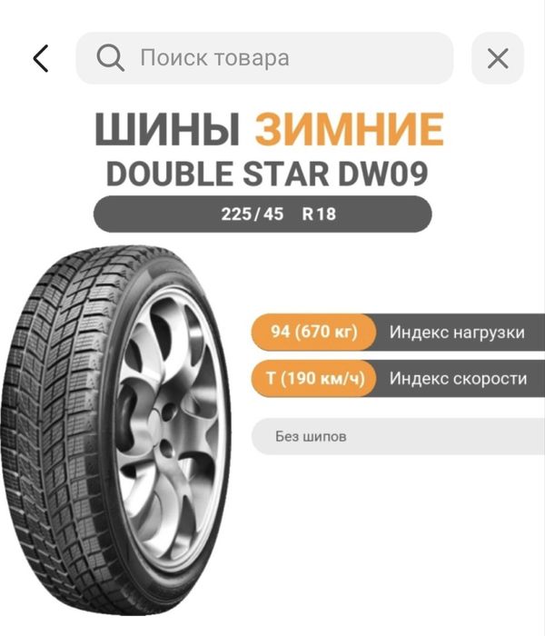 Шины зимние Double Star DW09