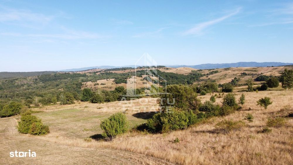 Teren de 50.000mp, priveliste panoramica spre munte si lac, Hunedoara
