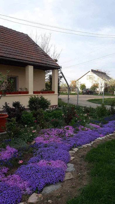 Semințe covor decorativ alb