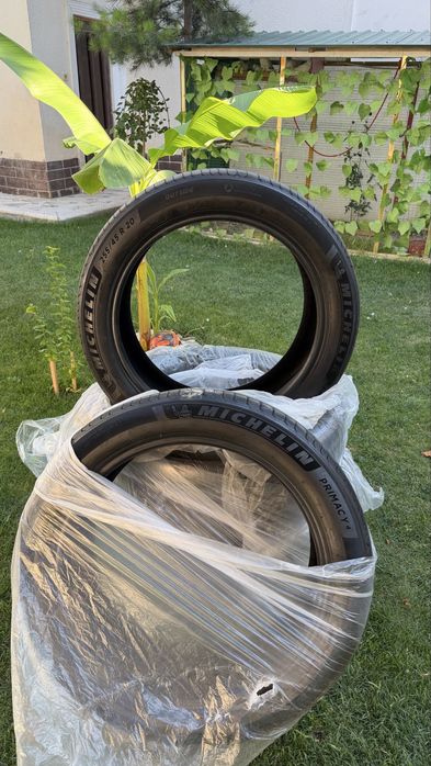Michelin 20 razmer