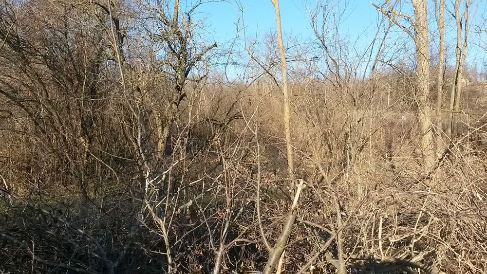 Парцел 1042 м2, село Щипско