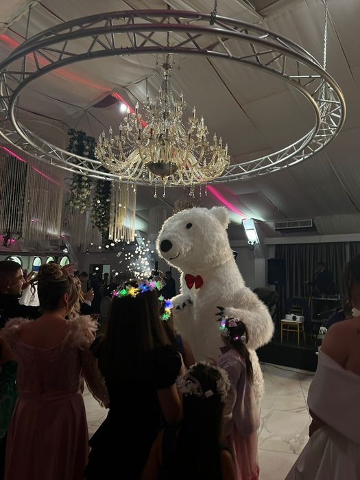 Urs gigant ,2,5 metri