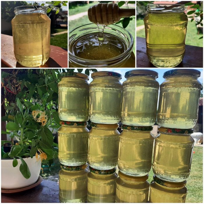 Miere de albine Salcâm & Poliflora