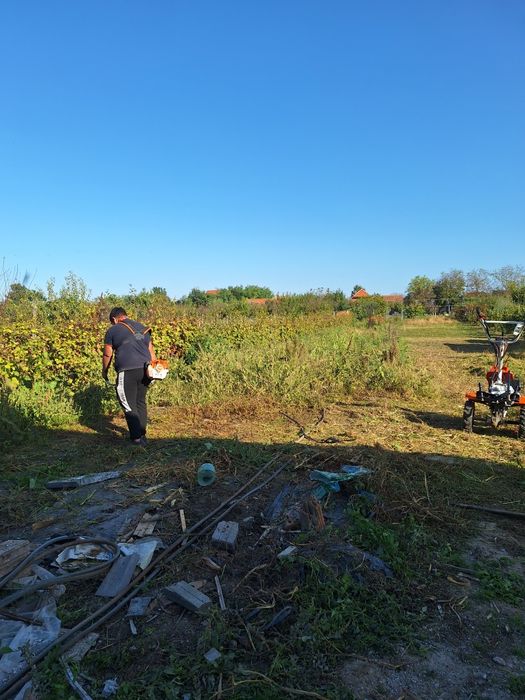 Servicii spatii verzi/ defrisari terenuri