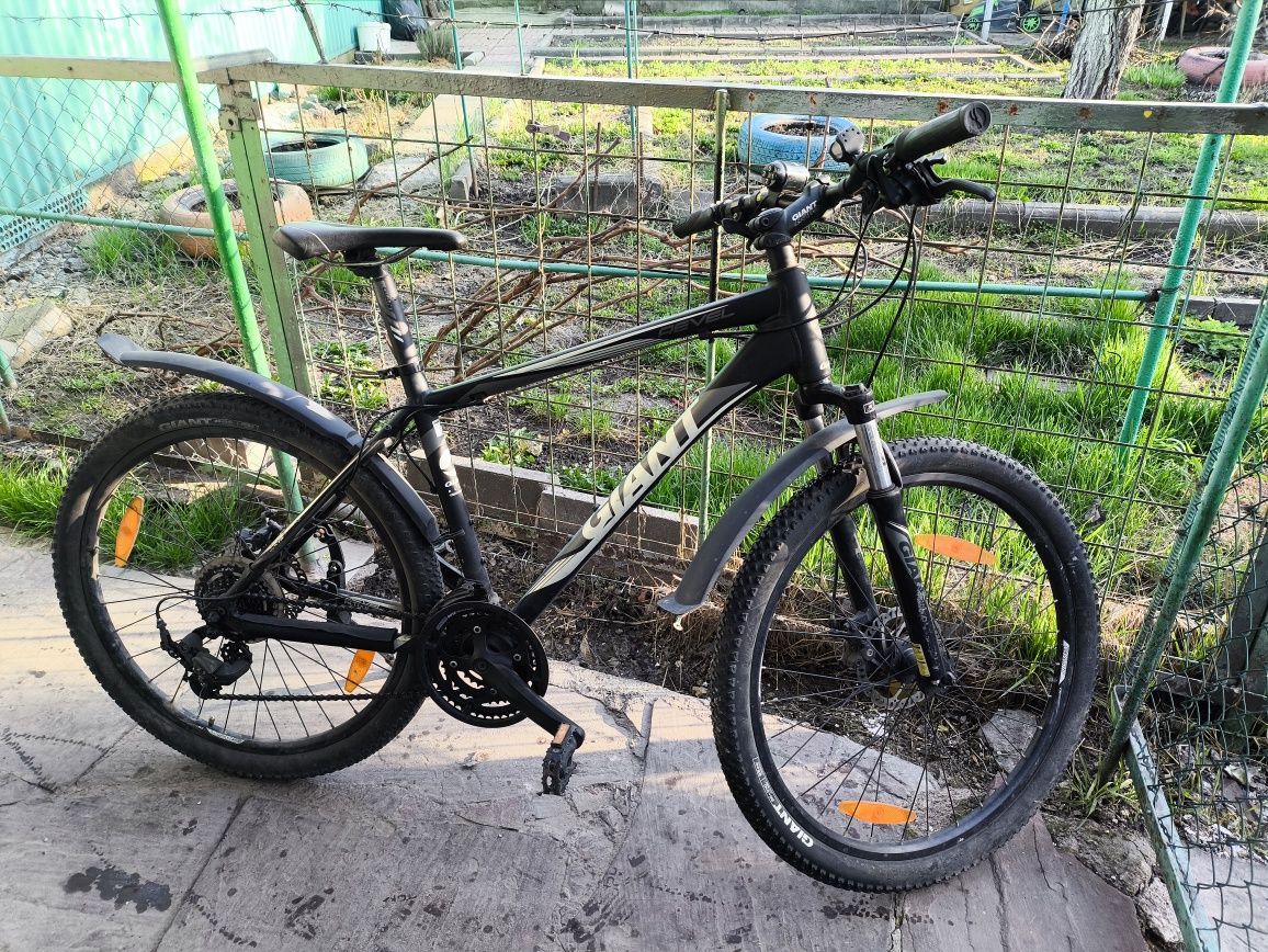 Giant aluxx 6000 series hotsell