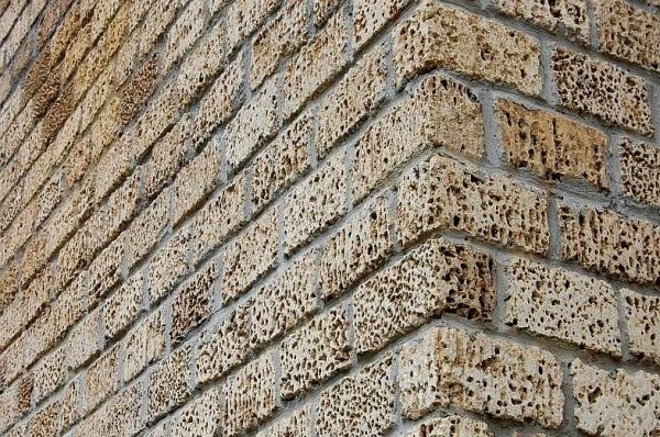 Экотон/ Ракушняк қалаймыз