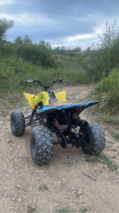 Vand cadru bashan 250