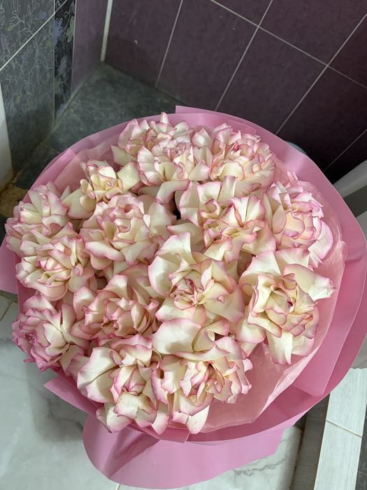 Двухцветные розы свежие