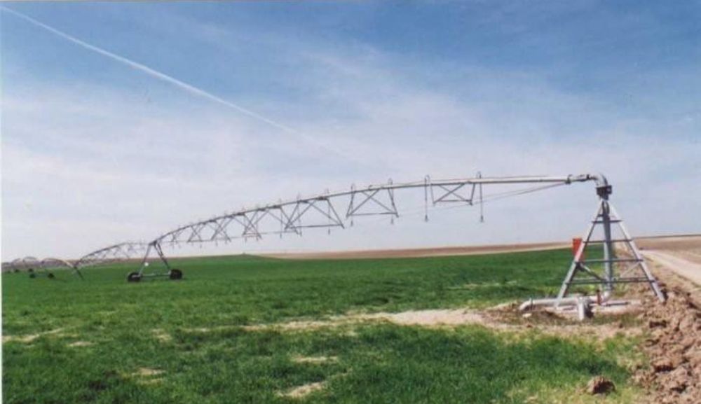 MCHJ chorvachilik  fermasi 1000 gektar yeri b.n