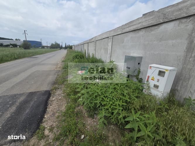 Ciolpani - Padure 1100 Mp, Toate Utilitatile, Padure, 26 Deschidere