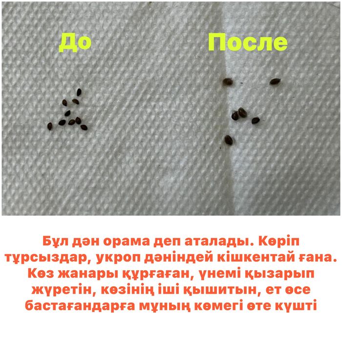 Орама дәні көзге шипа!