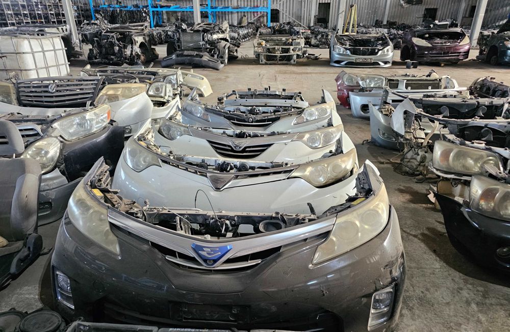 Ноускат миниморда