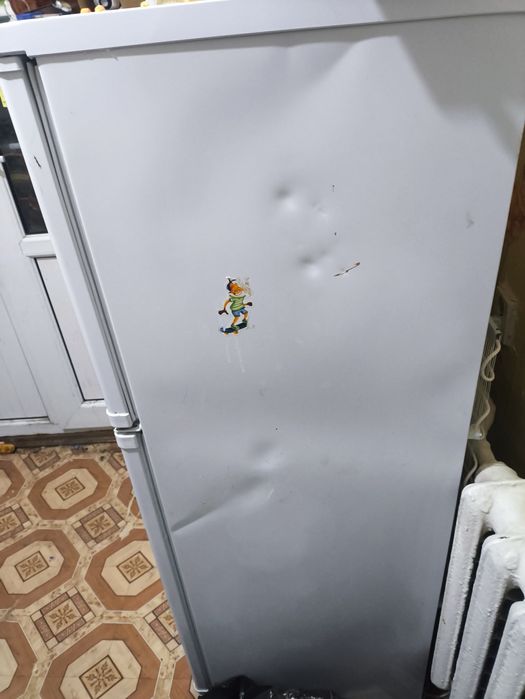 Холодильник Бирюса