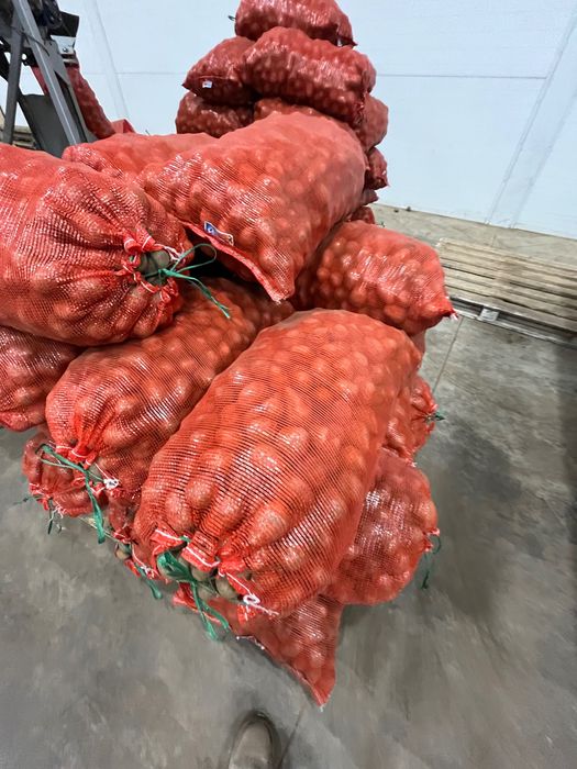 Продам картофель тендерный/нелеквид