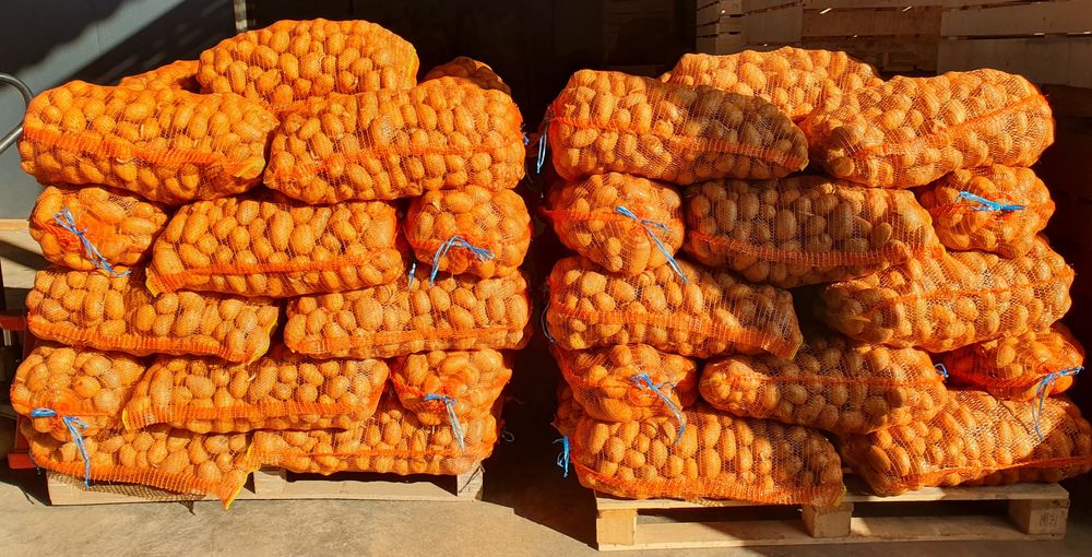 Cartofi consum, Carrera 50+, ambalat ieri 19 februarie