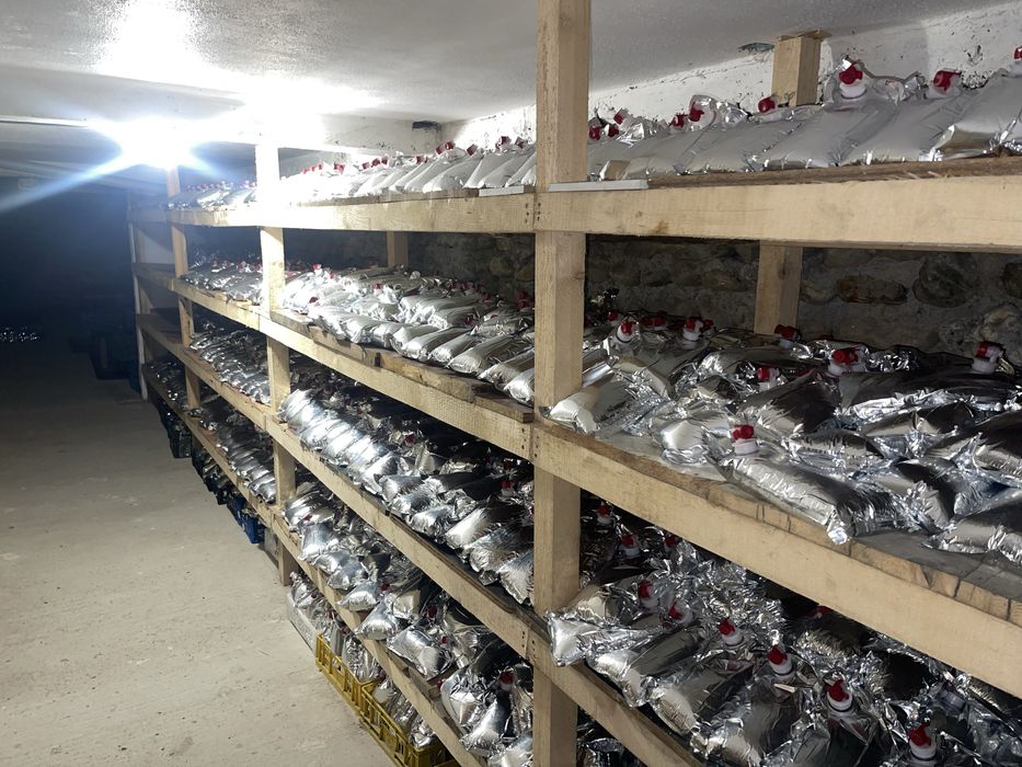 Suc de mere fabricat in Cartisoara