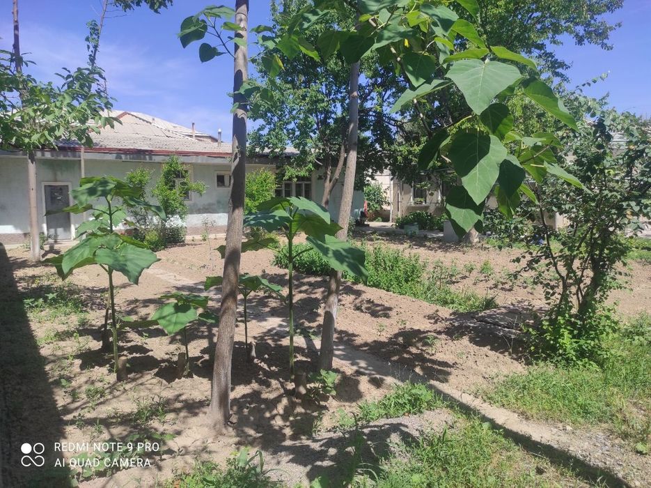Продается участок с домом,сзади канал