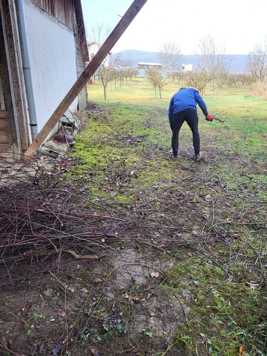 Defrișări vegetatie debarasări apartamente transport moloz