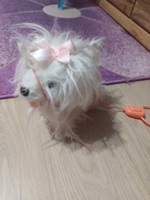 Vand jucarii interactive