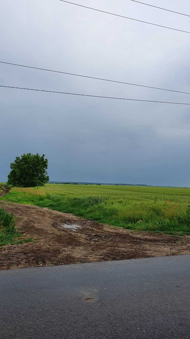 Teren de vanzare Dascalu/Gagu Suprafata 6.3ha Direct Proprietar