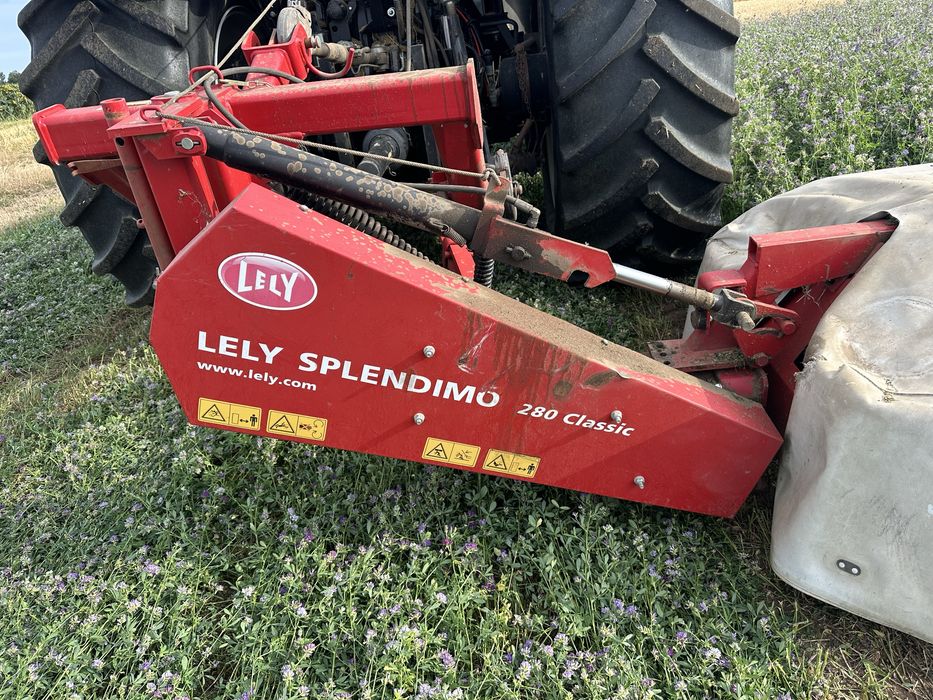 Vand coasa lely splendimo