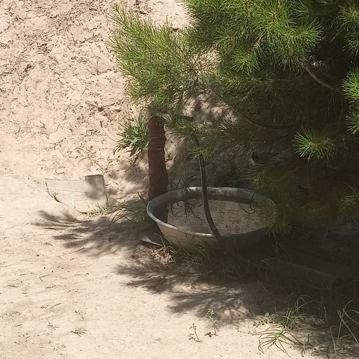 Uy sotiladi,zomin tumani,pshag'ar q,yoshlik mfy da