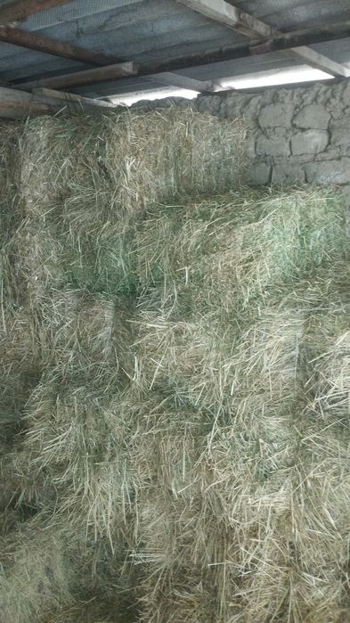 Сомон ва хашак сотилади