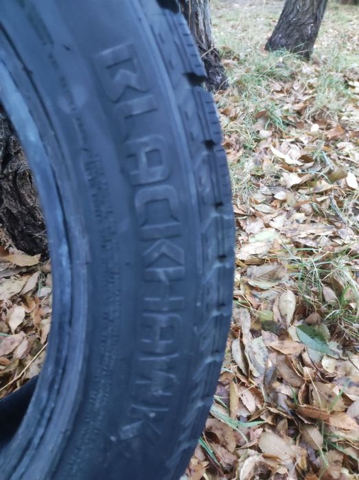 Автошины шипованные 215/55/17