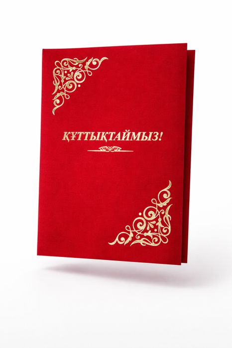 Бархатные папки